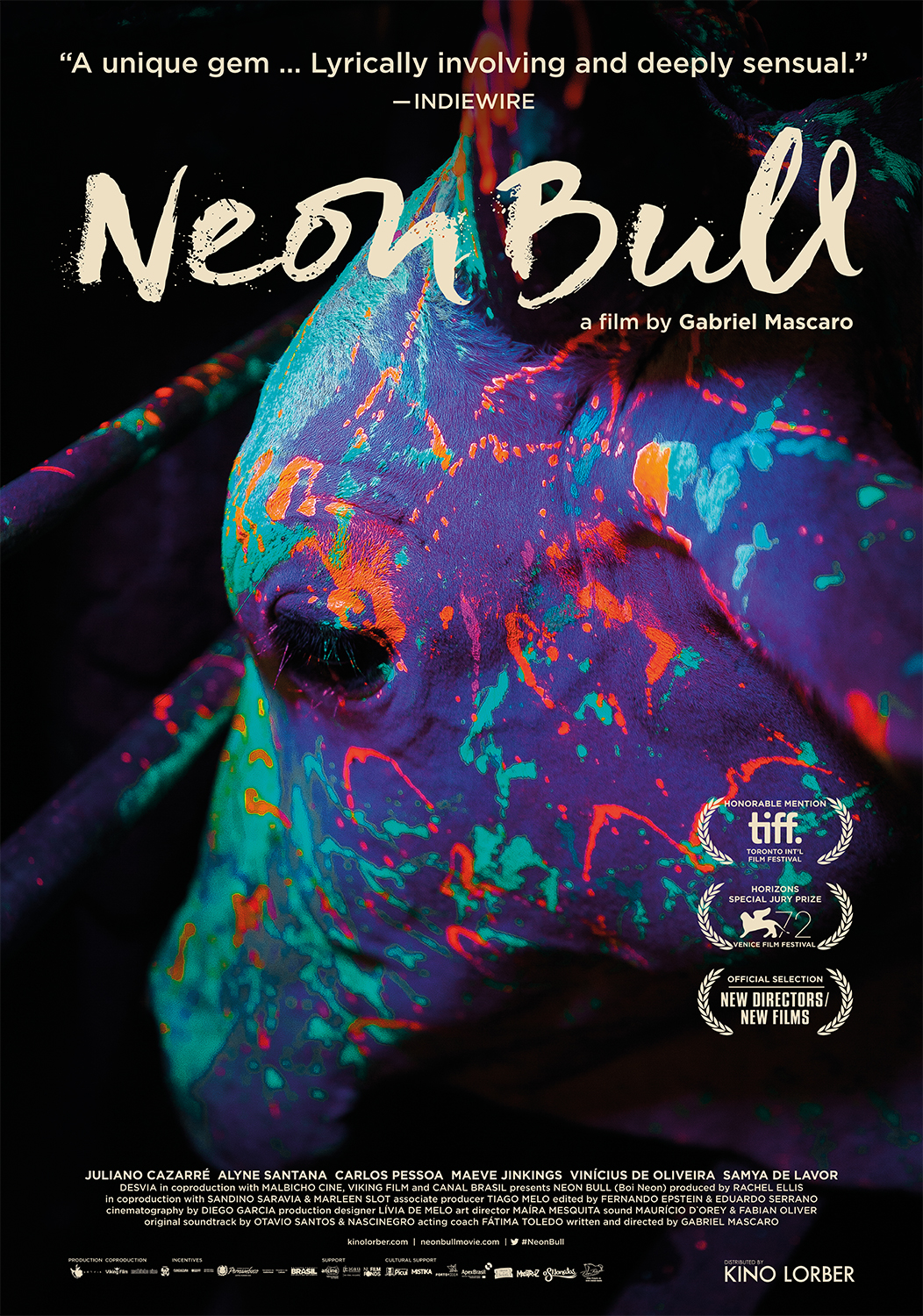 Photo of Neon Bull