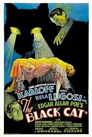 Photo of The Black CatThe Black Cat