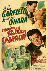 Photo of The Fallen SparrowThe Fallen Sparrow