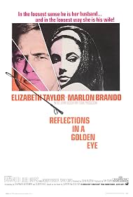 Photo of Reflections in a Golden EyeReflections in a Golden Eye