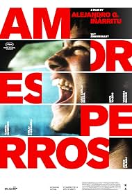 Photo of Amores perrosAmores perros