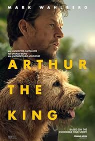 Photo of Arthur the KingArthur the King