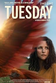 Photo of TuesdayTuesday