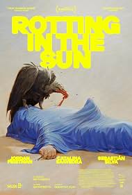Photo of Rotting in the SunRotting in the Sun