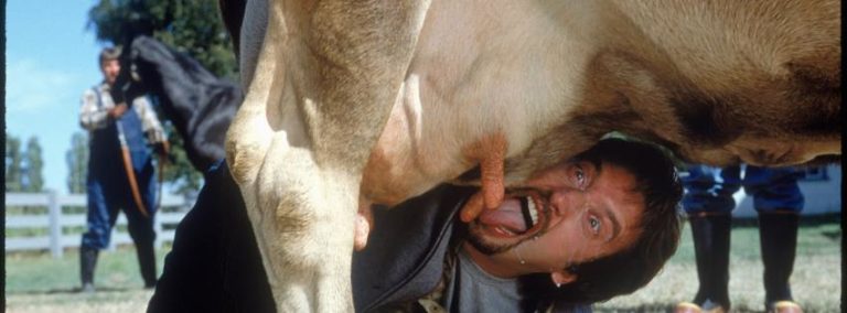 Tom Green suckles from a cow's teat