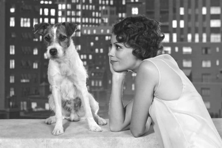Uggie the Jack Russell with co-star Bérénice Bejou in The Artist