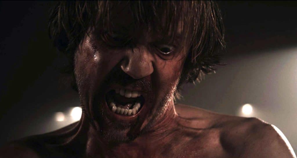 Srdjan Todorovic in A Serbian Film