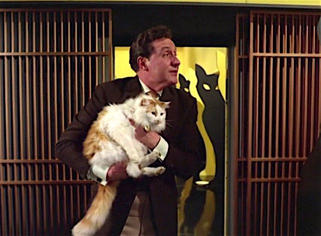 John Steed with pet cat