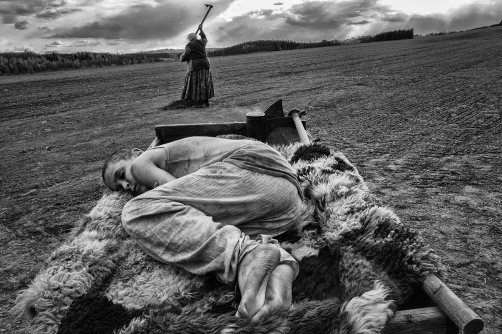 Joska asleep on a cart while a woman hoes