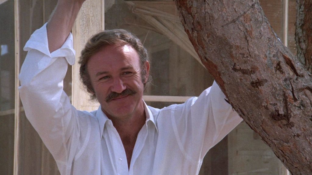 Gene Hackman as Harry