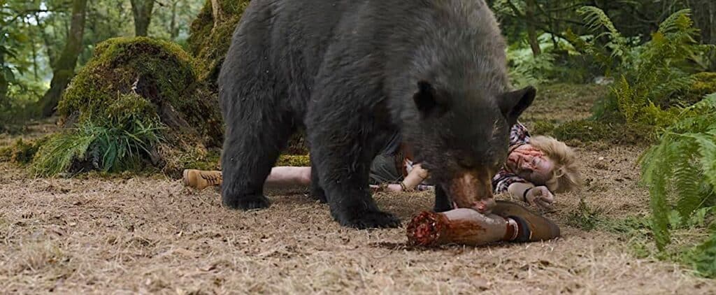 The bear on the rampage