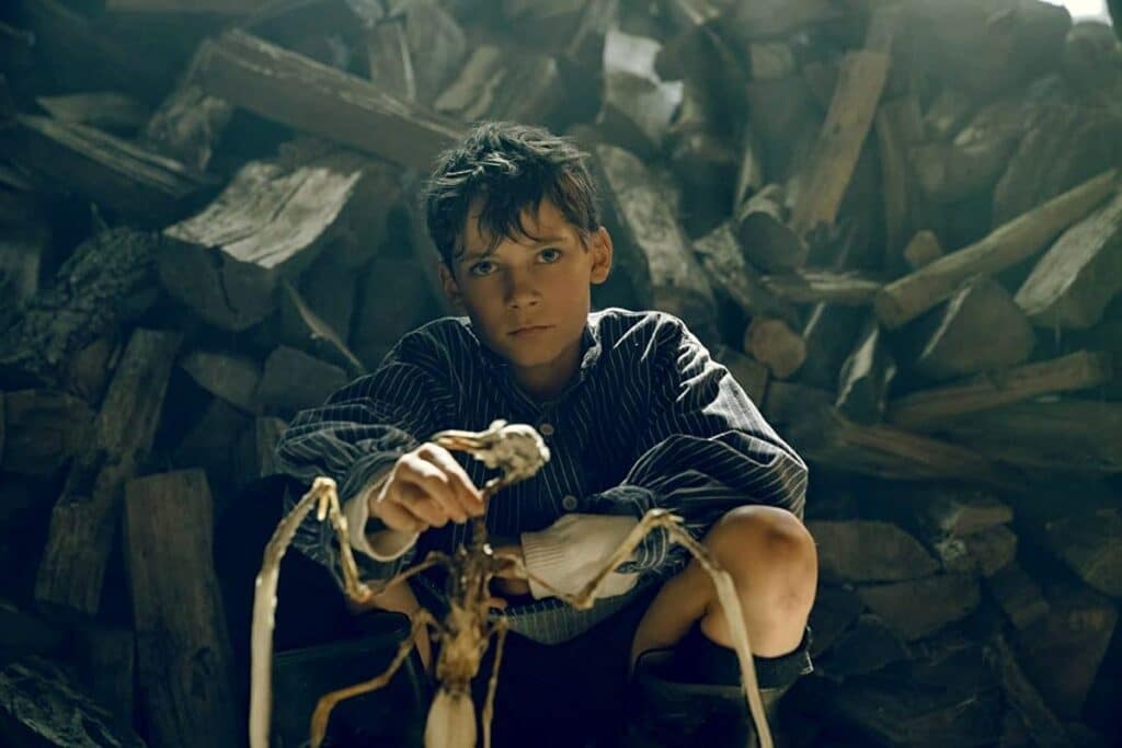 Young Siggi