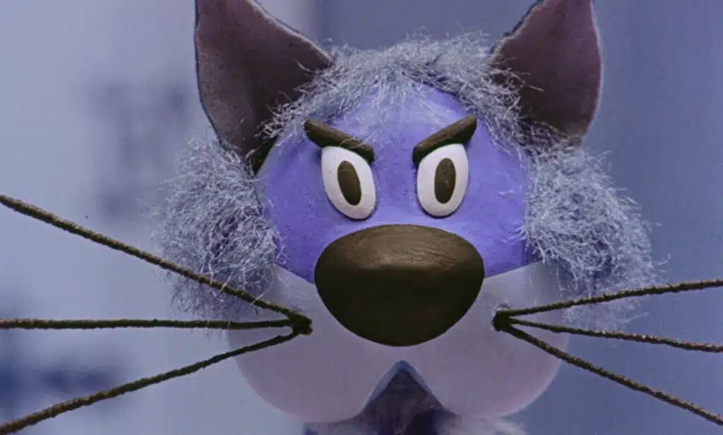 Close up of the Blue Cat