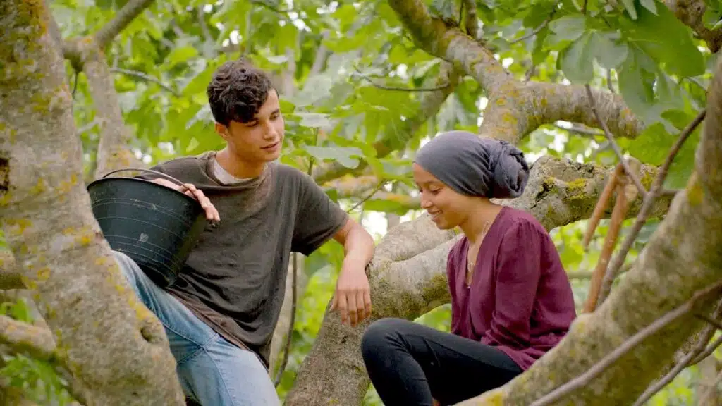 Abdou and Melek talk in a fig tree
