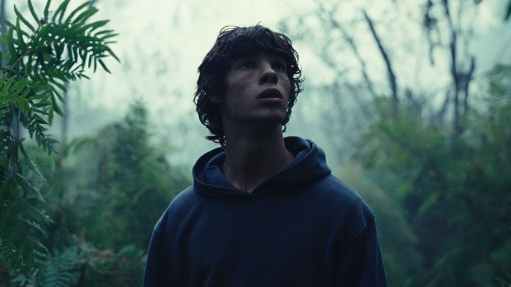 Émile out in the forest