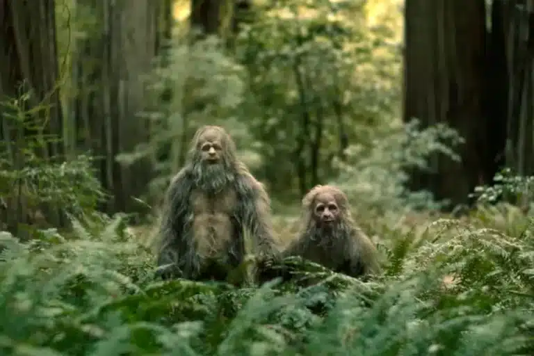 Male and female sasquatch in the forest