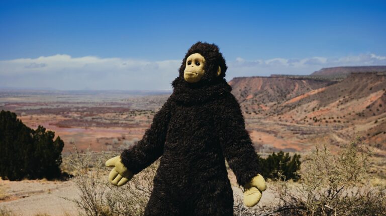 Monkey