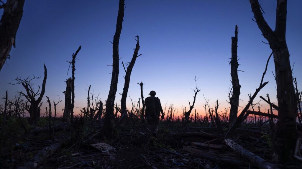 Silhouette of a soldier in the forest of splintered trees