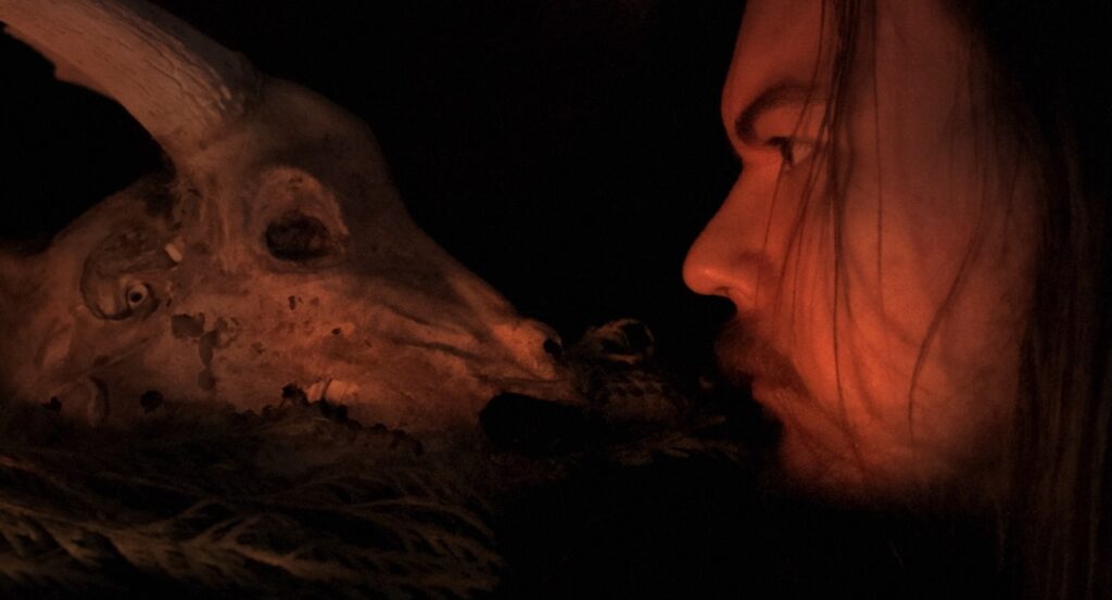 An animal skull and K face to face