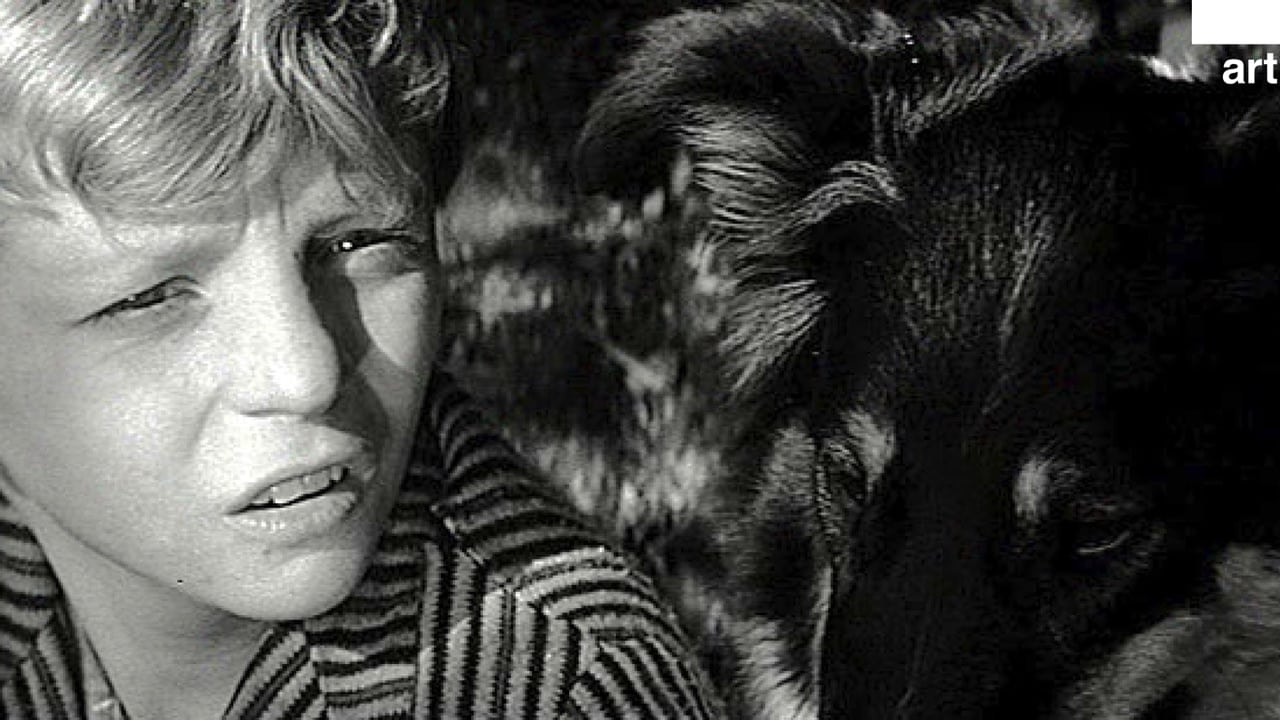 Close up of Oldrich and his dog