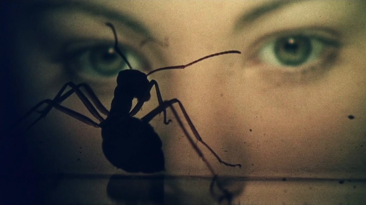 Ant in foreground, Kendra in the background