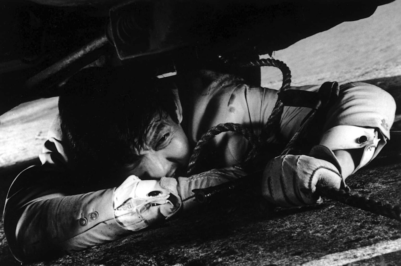 Hanada hiding under a car