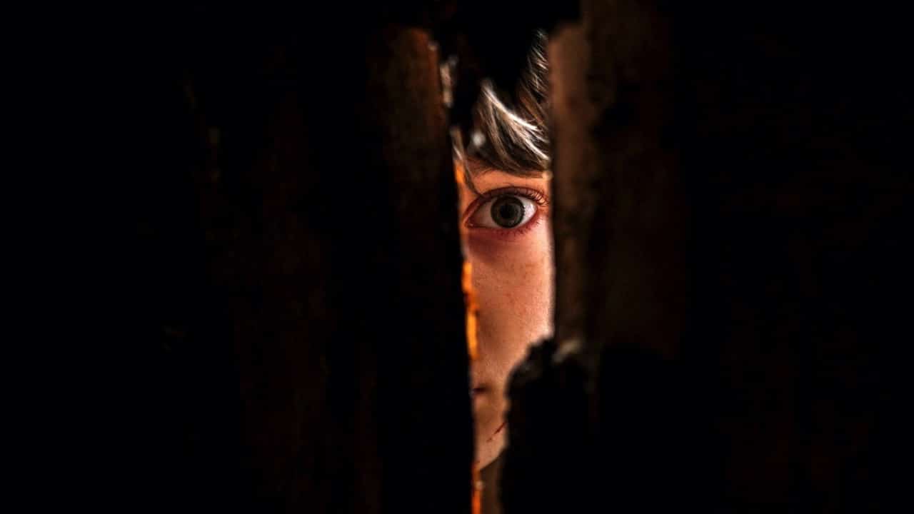 Vesper peering through a crack