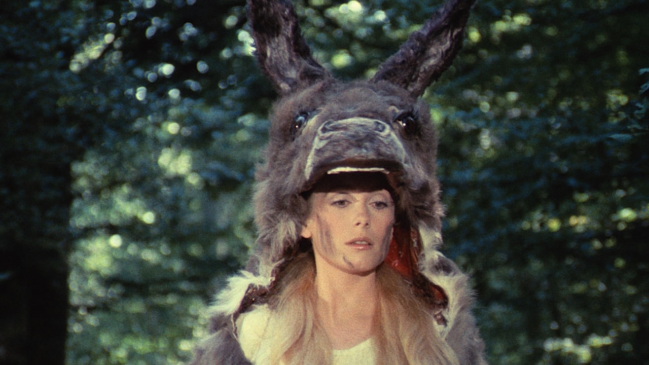 The princess in her donkey skin coat